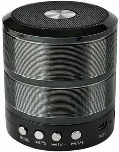 MZ 887 (Portable Bluetooth Mini Speaker) 5 W Bluetooth Speaker ( Stereo Channel)