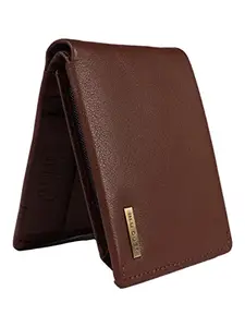 BLU DUST Pure Leather Wallet | Gents Walle for Men (Brown)