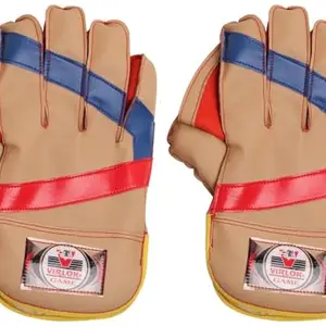 Wicket Keeping Gloves, Leather Palm For Smooth Feel, For Youth/Mens (Multicolor),Cricket