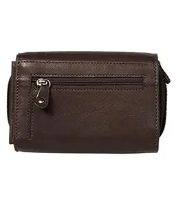FT Brown, Pure Leather Smart and Trendy Women Wallet with RFID Protected