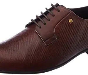 Hush Puppies Men's New Patrick Derby Brown Leather Oxford (8244982)