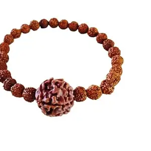 RudraGallery Rudraksha Bracelet For Men Women With 7 Mukhi Rudraksha Nepali Bead Stretchable Elastic Bracelet Genuine Lord Lakshmi 5 Mukhi Indonesia Bracelet Original Certified