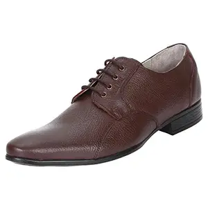 SeeandWear Formal Shoes for Men. Genuine Leather Brown Lace up Shoe.