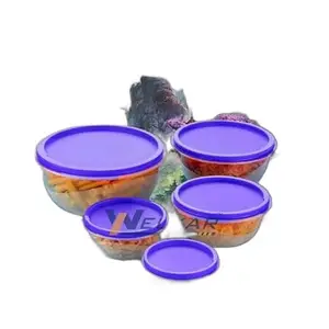 Kitchen Container |250+450+800+1400+2500 ml| Stackable Refrigerator Organizer for Fresh Food Storage | BPA-Free Kitchen Solution|Design - 8093 for Home and Kitchen