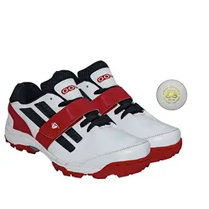 Gowin Pace White/Red cricket shoes Size-7 with TR-88-W Cricket Leather Ball Veg Tanned White