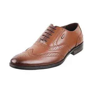 Mochi Men Tan Leather Formal Shoes-10 UK (44 EU) (19-5487)