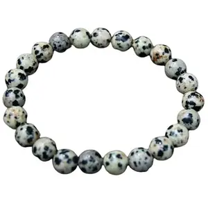 RRJEWELZ 8mm Natural Gemstone Dalmatian Jasper Round shape Smooth cut beads 7 inch stretchable bracelet for women. | STBR_RR_W_03003