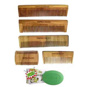 Handcrafted Neem & Sheesham Wood Hair Comb Set (5-Pack) with Ayurvedic Herbal Soap | Anti-Static, Detangling, Frizz Control, Anti-Dandruff | Aloe Vera & Green Apple Soap for Moisturizing & Cleansing | For All Hair Types - Men, Women & Kids | No Oil Treated, Durable & Eco-Friendly