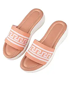 Bagadiya Trading Walktrendy Womens Synthetic Pink Flats - 8 UK (Wtwf283_Pink_41)