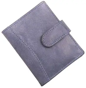 Vihaan Men Blue Pure Leather Card Holder 20 Card Slot 0 Note Compartment