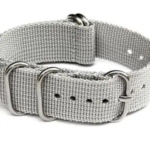 22mm Stech Nylon Nato Strap For Watch (Ash Grey) 25cms Length