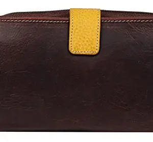 Delfin Genuine Leather | Multi Slots Ladies Wallet (Furies Brown)