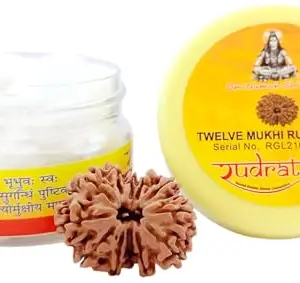 Rudratva 12 Mukhi/Faced Nepali Rudraksha | Natural Twelve Mukhi Rudraksha | ISO Lab Certified Nepal Origin | 20-25 mm | For Men & Women