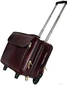 RICHSIGN LEATHER ACCESSORIES 42 Ltrs Brown Leather Pilot Laptop Cases Cabin Trolley Bags for Men Luggage with 2 Wheels 45 cm