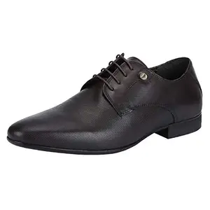 Red Tape Men's Brown Derby Shoes-6