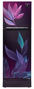 Samsung 236L 2 Star Inverter Frost-Free Double Door Refrigerator (RT28C31429R/HL,Paradise Bloom Base Stand Drawer 2023 Model)