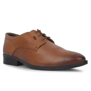 Derby Shoes, Low-Top by LEE Cooper