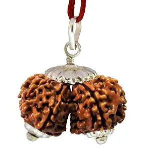 Ramneek Jewels Ramneek jewels Nepali Gauri Shankar Rudraksha in Silver Cap (Gaurishankar Rudraksh) 17 M.M