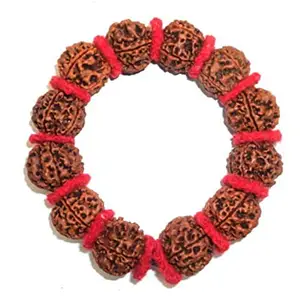 REBUY 5 Mukhi Rudraksha Bracelet / Guru Bracelet for Men and Women