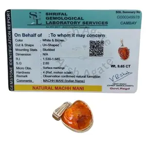 ARSH AGATE Authentic Certified Machhmani Pendant for Luck, Protection, Positive Vibes, Good Health, Stress Relief and Wealth Attraction Healing Gemstone