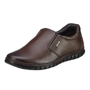 Duke Men Slip-On Formal Shoes Brown