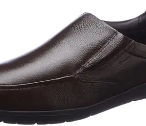 Bata Mens Walkerslipon Brown Casual Shoe - 8 UK (8554011080)