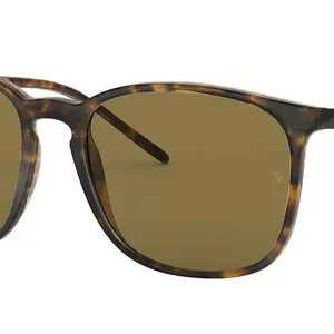 Visit the Ray-Ban Store Ray-Ban Unisex Square Sunglasses - 0RB4387