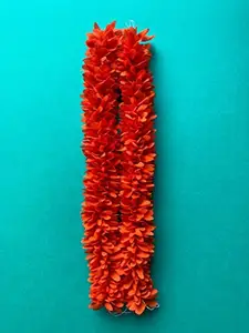 Dreams@Bharathantiyam Flower synthetic Fabric Gajra Orange Color Two Pieces 12 inch for Gorgeous and Stunning Hairstyles