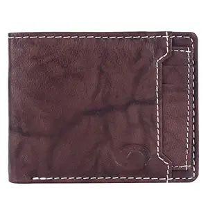 Delfin Genuine Leather Wallet for Men (Brown)
