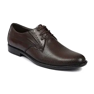 Zoom Shoes Men's Genuine Leather Formal Shoes for Office/Casual Wear Dress Shoes Shoes for Men A1173 Brown