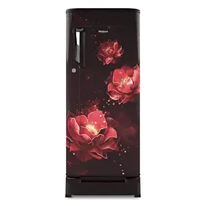 Whirlpool Ice Magic Powercool 190 L 4 Star Inverter Direct-Cool Single Door Refrigerator with Intellisense Inverter Technology (205 IMPRO ROY 4S, Wine Abyss, 2022 Model)