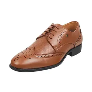 Mochi Men Tan Leather Brogue Shoe UK/9 EU/43