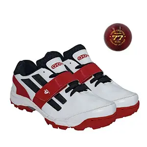 Gowin Pace White/Red cricket shoes Size-10 with TR-88-R Cricket Leather Ball Veg Tanned Red