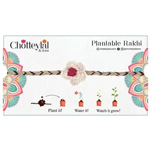 CHOTTEY LAL AND SONS Rakshabandhan Special Multicolor Rakhi with Seed, Rakhi for Brother/Men, Natural Plantable Rakhi with Seed (Set of 1)
