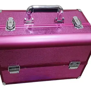 Pride Star Metal Cosmetic Case (Pink_450)