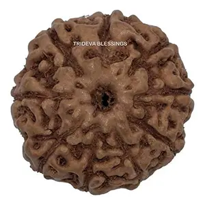 TRIDEVA BLESSINGS 9 Mukhi Rudraksha/Nine Face Rudraksha (Indonesia) - Brown Wooden Necklace for Women