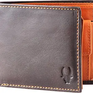 WILDHORN Brown Leather Wallet for Men Brown Leather Men's Wallet (223)