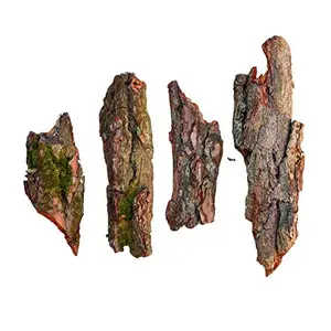 Generic 7 Hill's Hand Picked Pine Bark Pieces Large for Craft(10 Pieces)