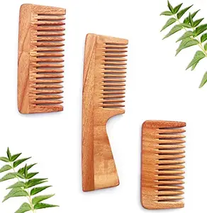 Success Craft Neem Wood Combs for All Type Hair | Anti Dandruff | Hair Growth | Natural & Eco Friendly | 3 Combs Set