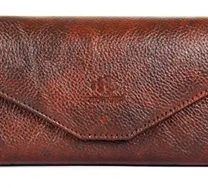 THE CLOWNFISH Women Synthetic Wallet (Brown)