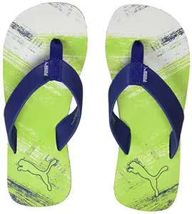 Puma Unisex-Adult Triumph x GU Surf The Web-Limepunch-White Slipper - 11 UK (37190204)