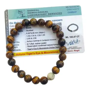 Apnisanskriti Premium Tiger Eye and Moon Stone Bracelet for Men and Women (Free Size, AAA Quality, Lab Certified) Natural Stone - Couple Bracelet - Pack of 1