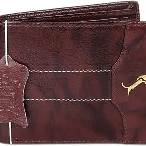 WILD EDGE Genuine Leather Dark Brown Men's Wallet with Thread Detail - Stylish Leather Wallet for Men - Bi-Fold/Two-Fold Wallet for Men (Pack of 1)