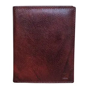 STYLE SHOES Brown Smart and Stylish Leather Card Holder for Unisex