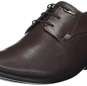 LC2035B2R Lee Cooper Brown Mens Leather Formal Shoes UK-8