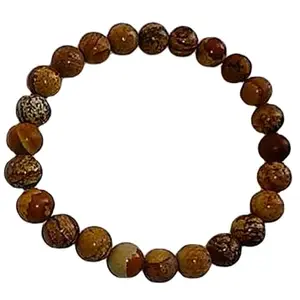 RRJEWELZ Natural Picture Jasper 8mm round Shape Smooth Cut Beads 7.5 Inch Stretchable Bracelet for Men & Women.|STBR_RR_07604_7.5