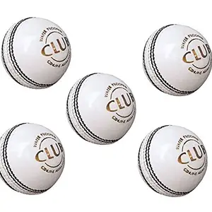 EX Sports 4 Piece Club White Leather Ball for Practice, Match,Academy,and Tournament (Pack of 20)