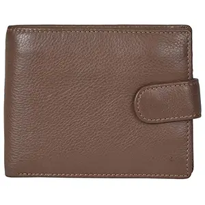 Leatherman Fashion Men Brown, Green, Beige Genuine Leather Wallet (5 Card Slots)