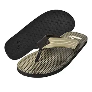 Puma Men's Ketava Graphic IDP Chocolate Brown-Pale Khaki Floaters - 6 UK/India (39 EU) (4059505857417)
