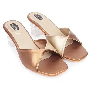 TAYDOL women fancy block Transparent heel footwear sandal (85)